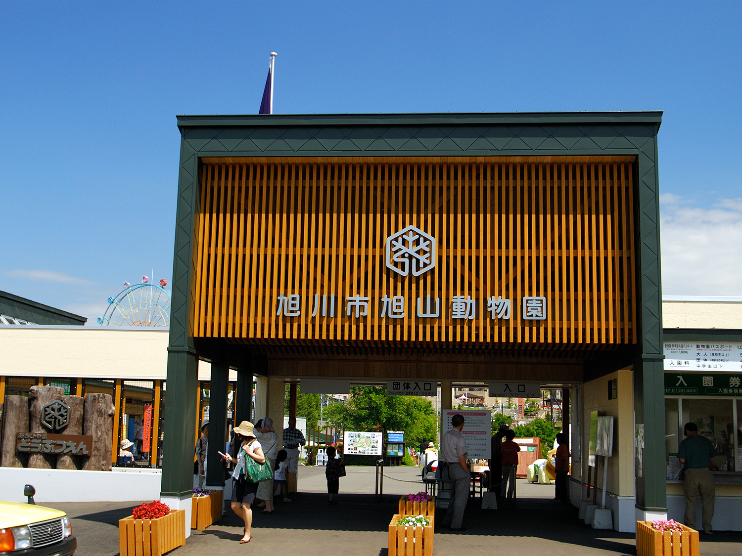 【夏】旭川・富良野・札幌を列車で巡る2泊3日